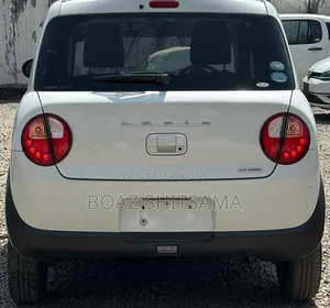 Suzuki AP 2018 White
