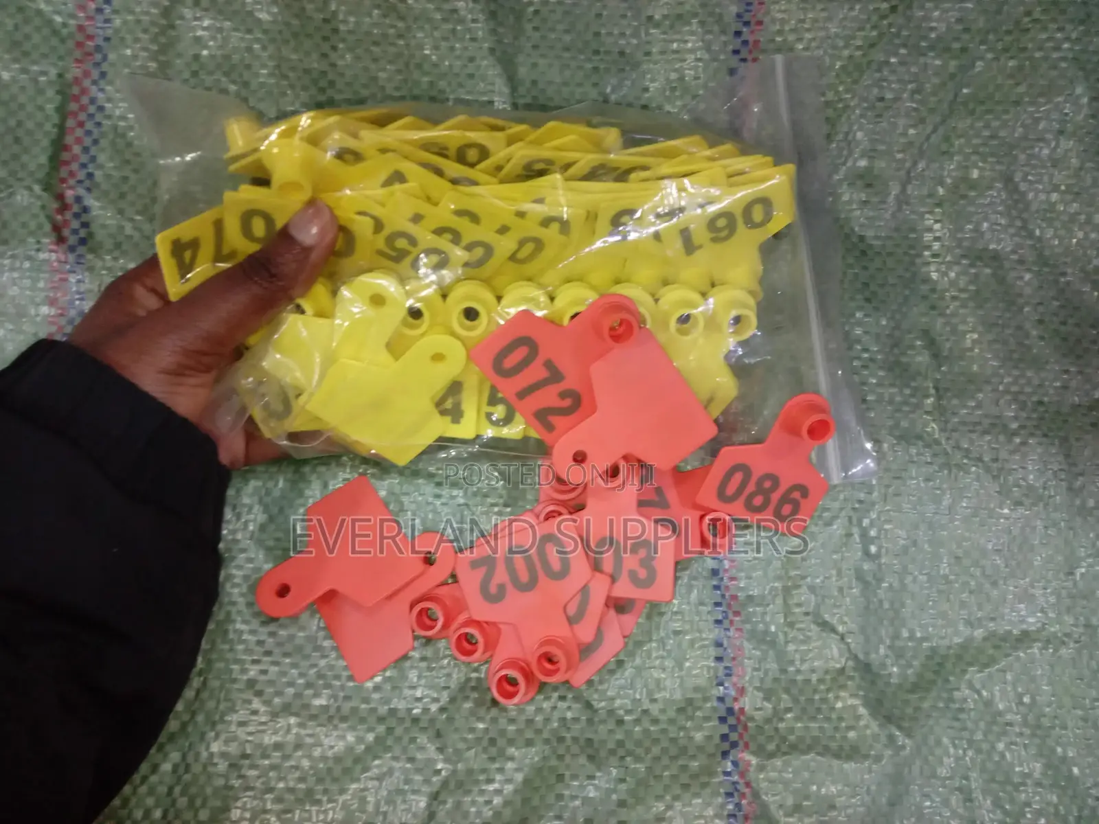 Ear Tags - Visual Filing System (Pack)