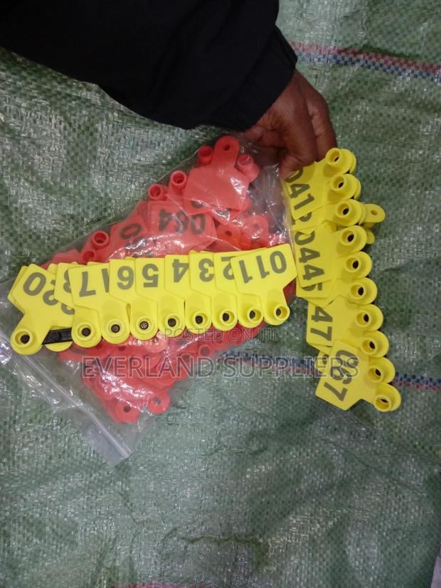 Ear Tags - Identification a Set - main view