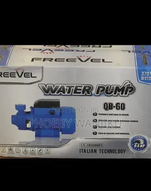 Freevel Water Booster Pump/Electric Water Pump QB60