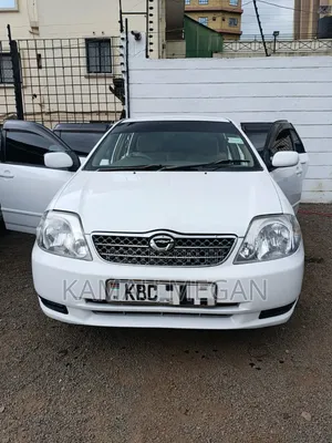 Toyota Corolla Fielder 2004 White