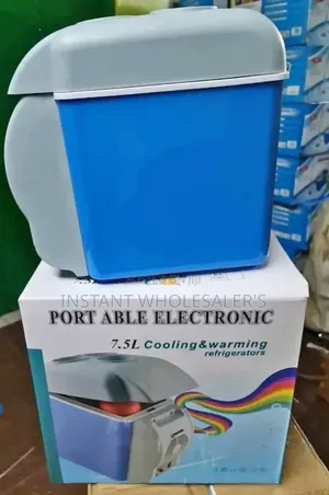 Electric Car Cooler Boxes