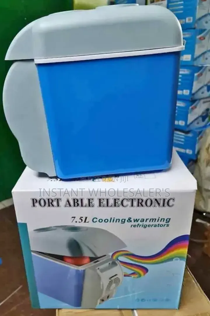 Electric Car Cooler Boxes
