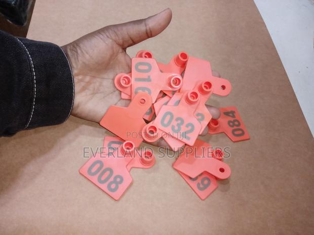 Ear Tags - Long-Term Use (A Pack)