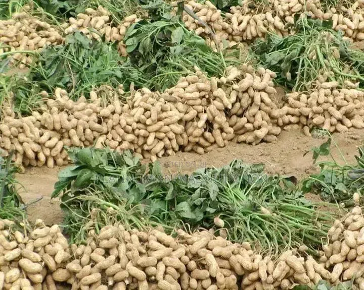Super Gro Fertilizer