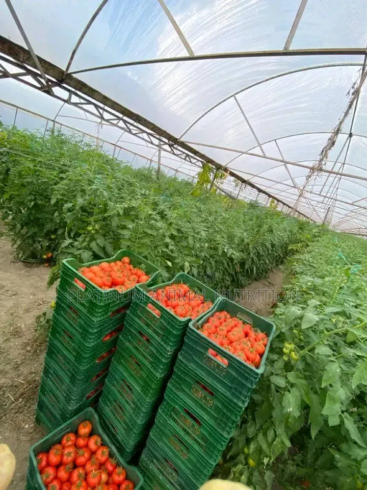 Super Gro Fertilizer