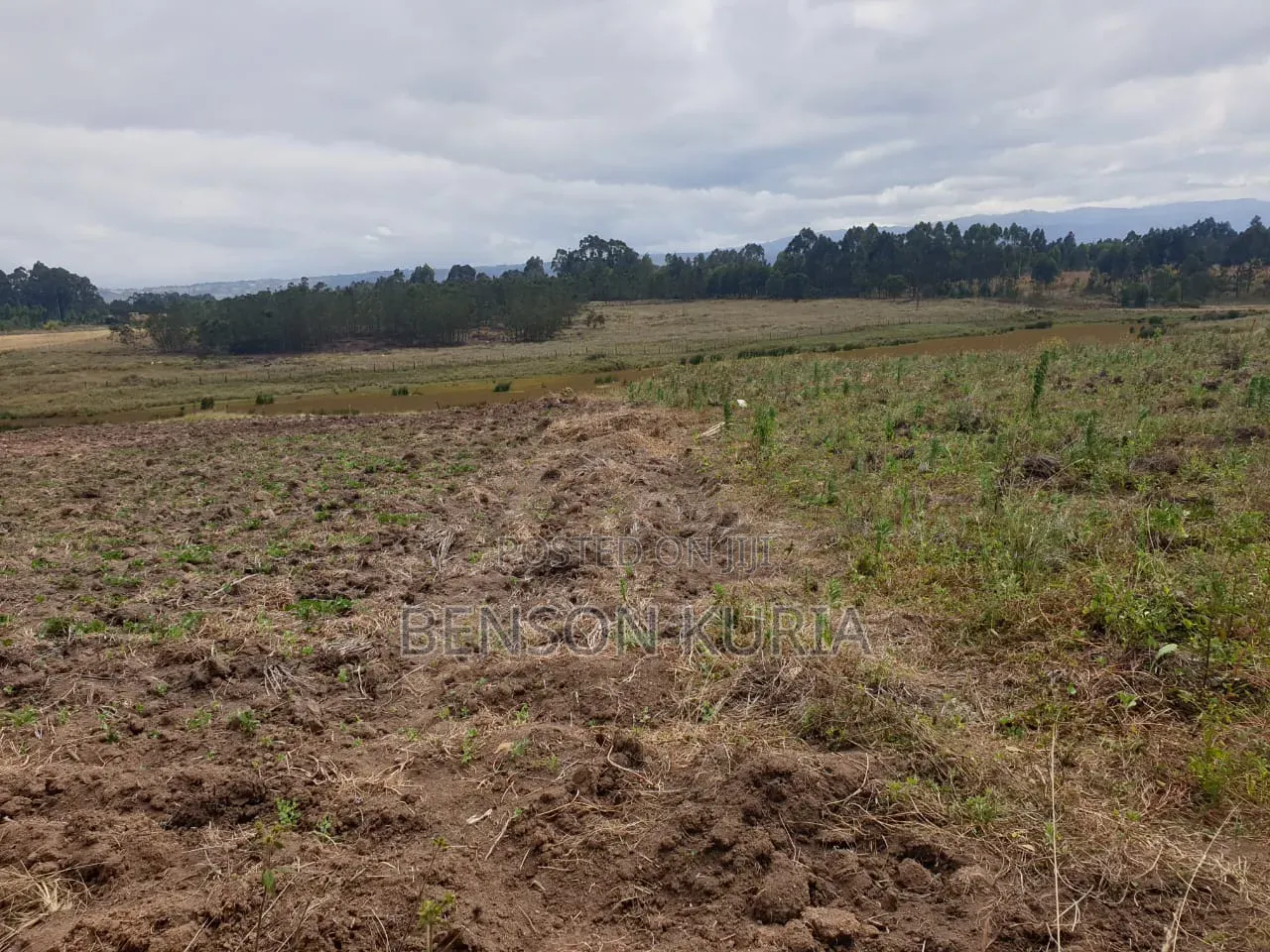 Olkalau Plot