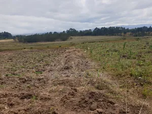 Olkalau Plot