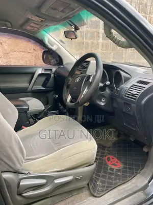 Toyota Land Cruiser Prado 2010 Gray