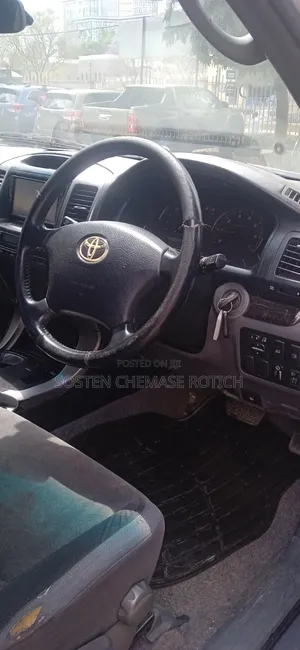 Toyota Land Cruiser Prado 2008 Gray