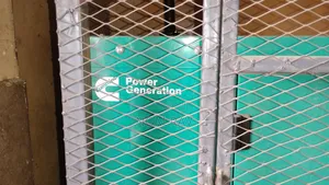Cummins Power Generation