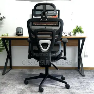 Executive Ergonomic Full Mesh Chair.