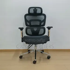 Executive Ergonomic Full Mesh Chair.