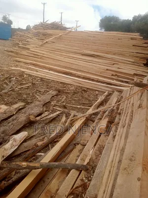 Pine Cypress Timber, Door