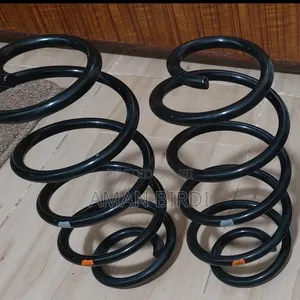 Axio 2018 Springs