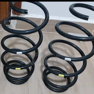 Axio 2018 Springs