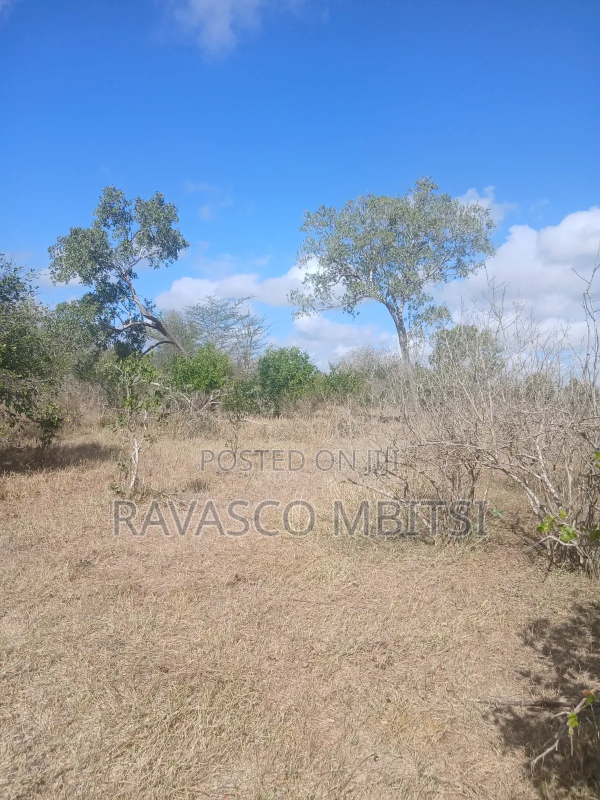 50 Acres Forsale in Malindi Boreshingwaya