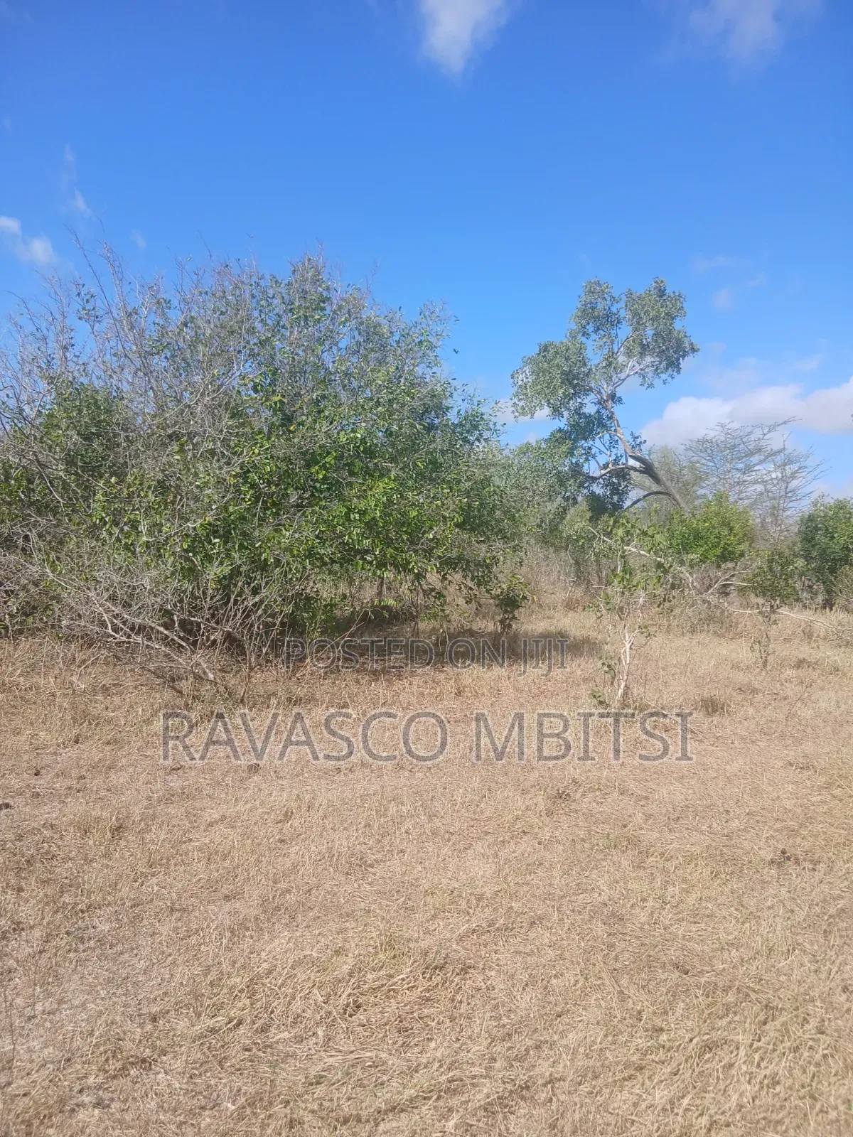 50 Acres Forsale in Malindi Boreshingwaya