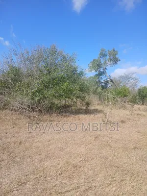 50 Acres Forsale in Malindi Boreshingwaya