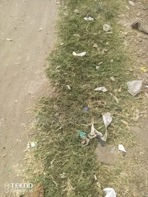 Katani Near Merryland School at Greenland Court 1/4 Plots Residential