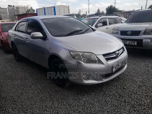 Toyota Axio 2010 Silver