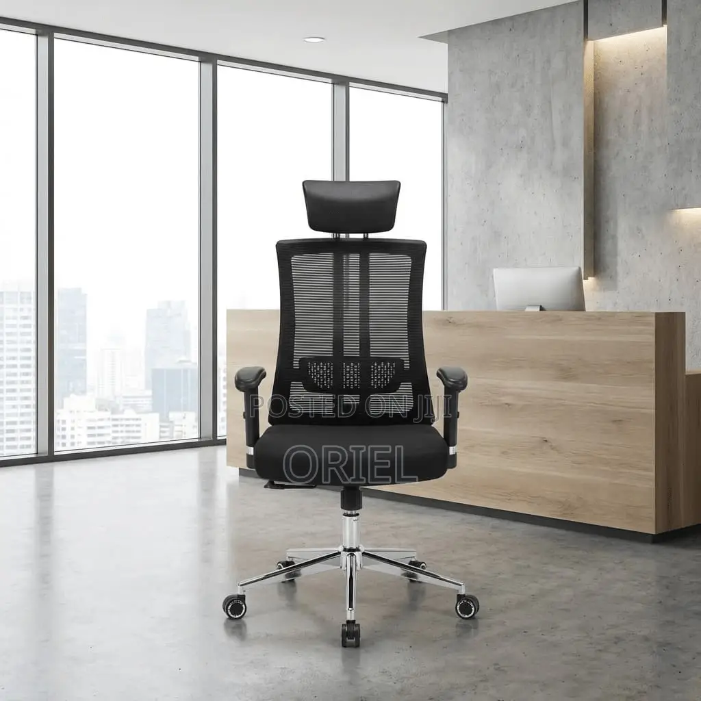 Office Chair: Orthopedic Ergonomic OfficeChair