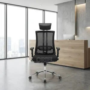 Office Chair: Orthopedic Ergonomic OfficeChair
