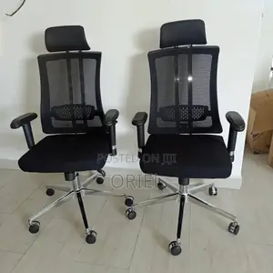 Office Chair: Orthopedic Ergonomic OfficeChair