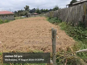 Plot for Sale