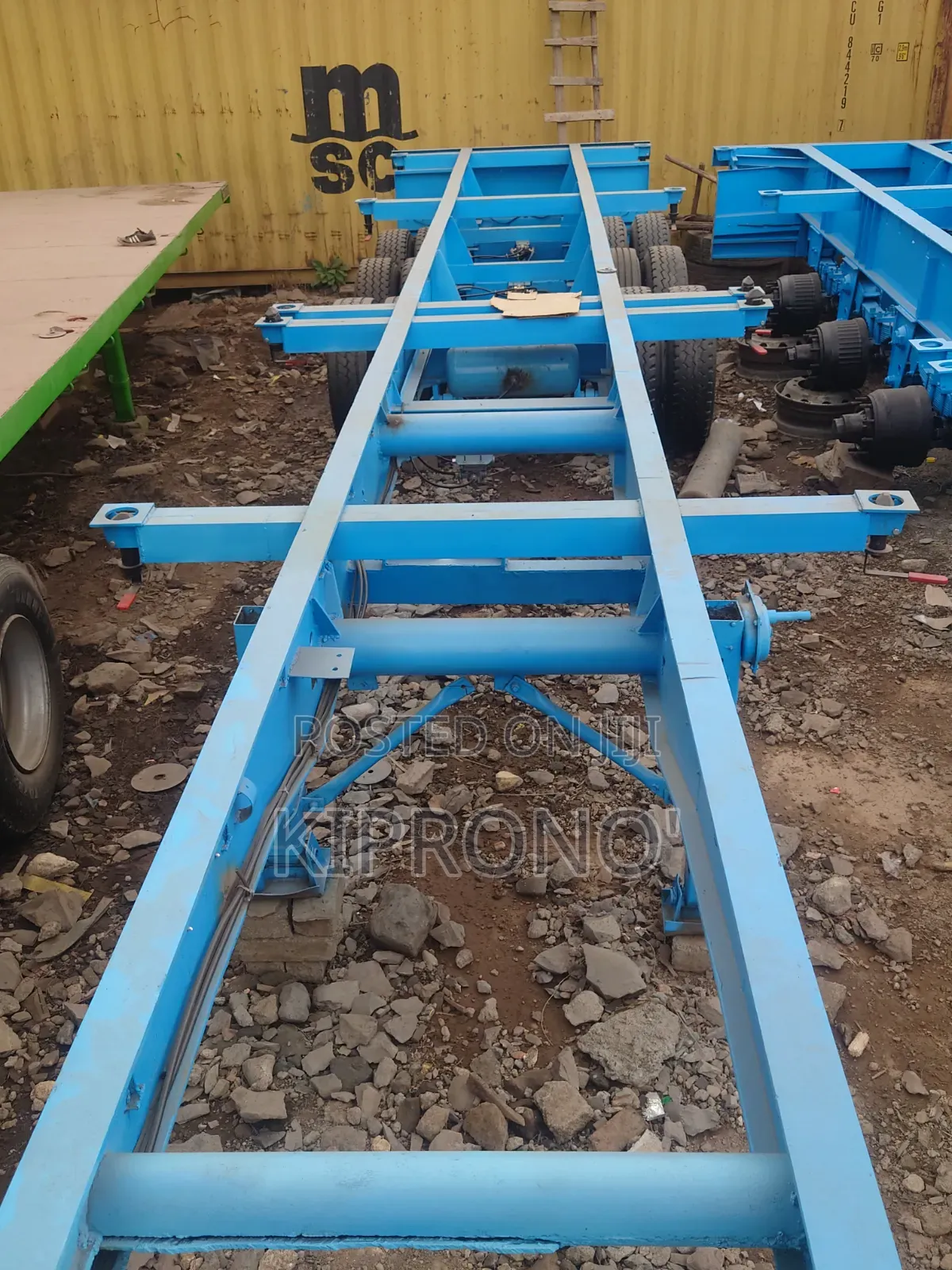 Randon Flat Bhachu Skeleton