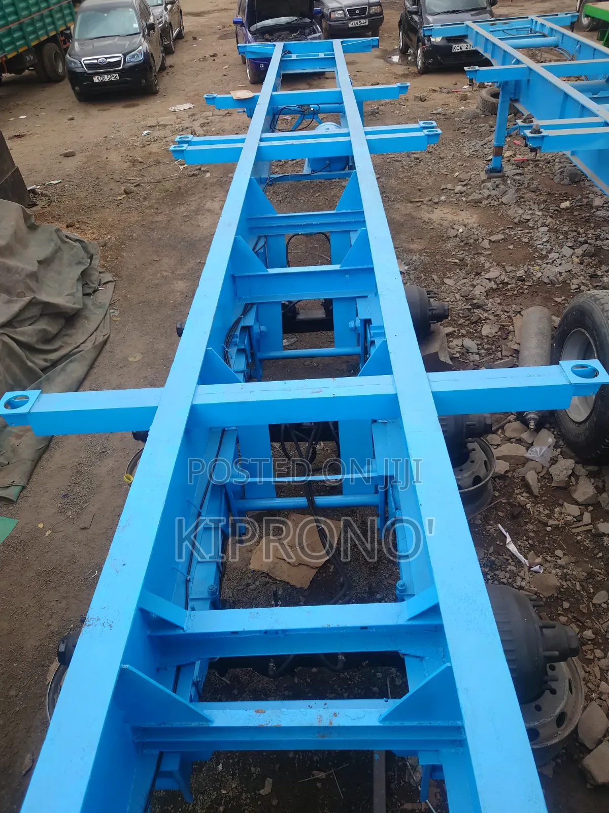 Randon Flat Bhachu Skeleton
