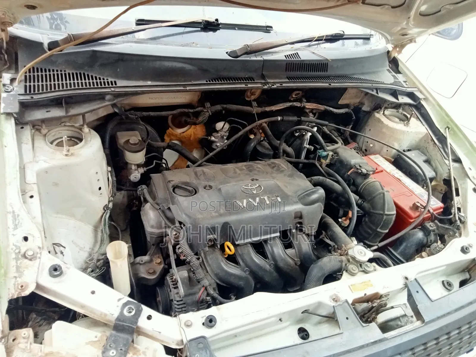 Toyota Probox 2006 White