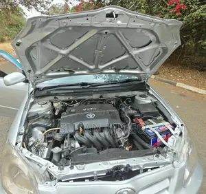 Toyota Allex 2006 Silver