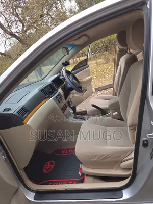 Toyota Allex 2006 Silver