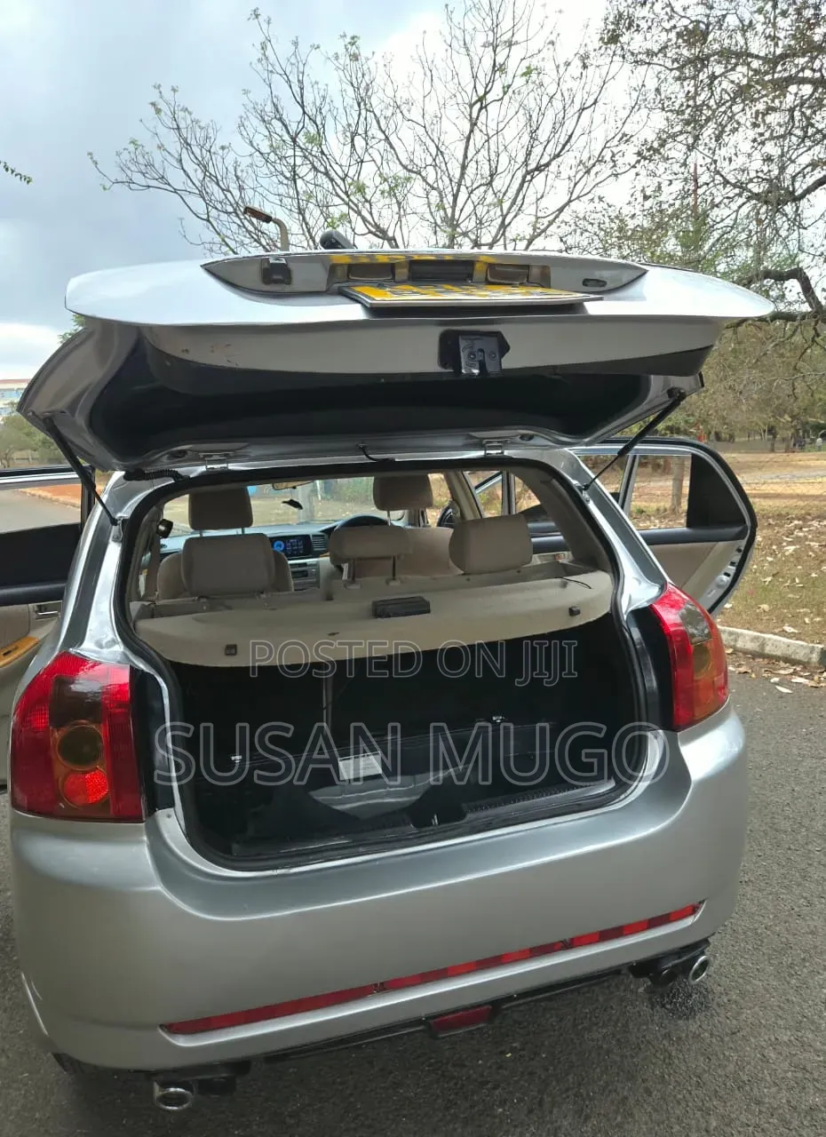 Toyota Allex 2006 Silver
