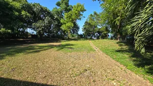 Prime 257M 1 Acre 1st Row Sea BeachLand on Sale at Nyali Mombasa Kenya