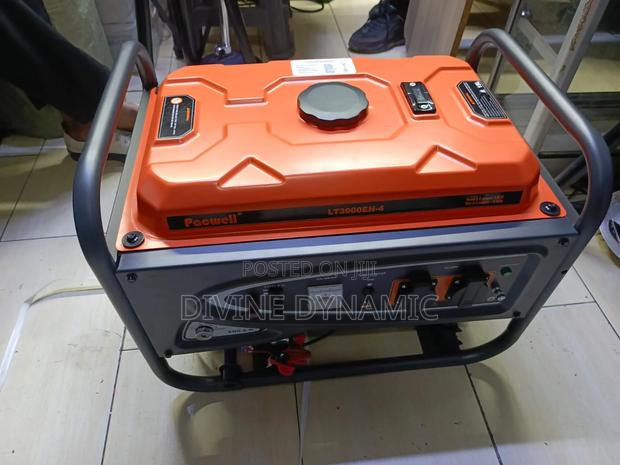 Pacwell LT3900EN-4 Generator - main view