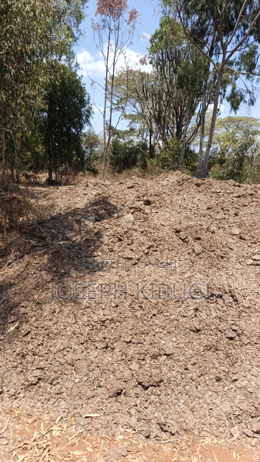 Manure for Sale