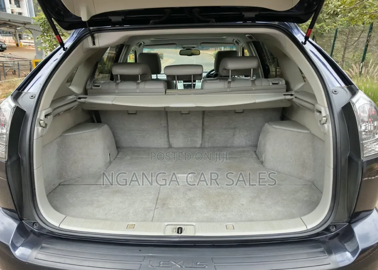 Lexus RX 2006 Blue