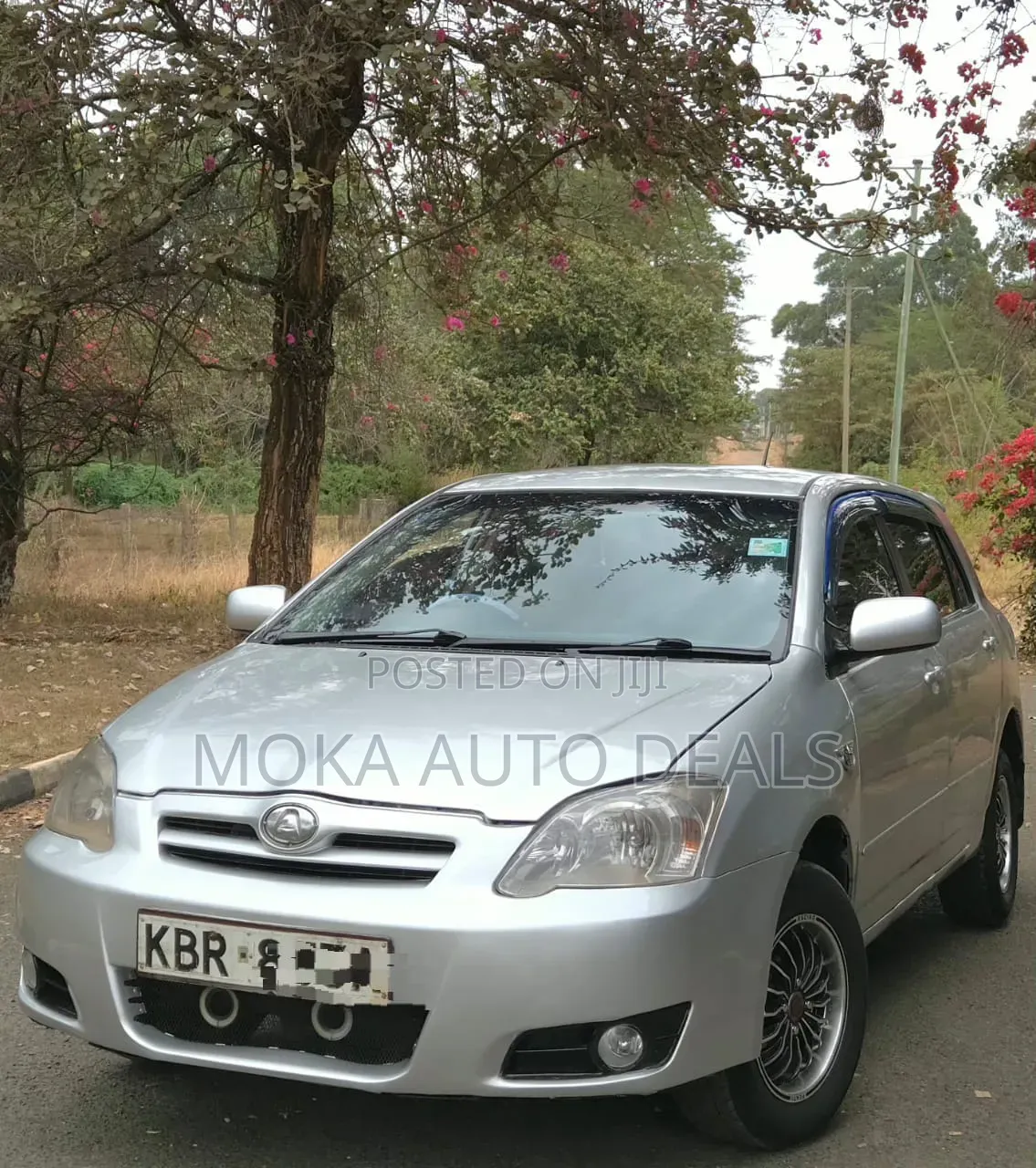Toyota Allex 2005 Silver
