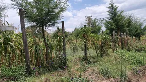 Plot for Sale 50*100