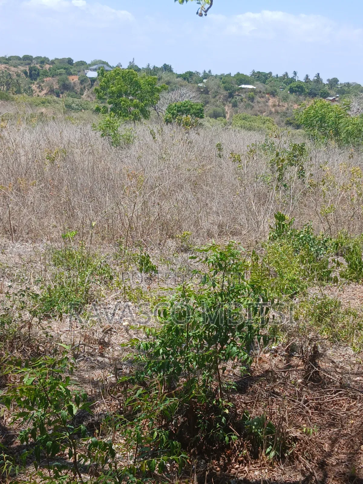 5 Acres Forsale in Kilifi Takaungu