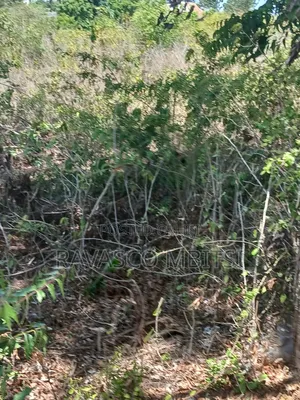 5 Acres Forsale in Kilifi Takaungu