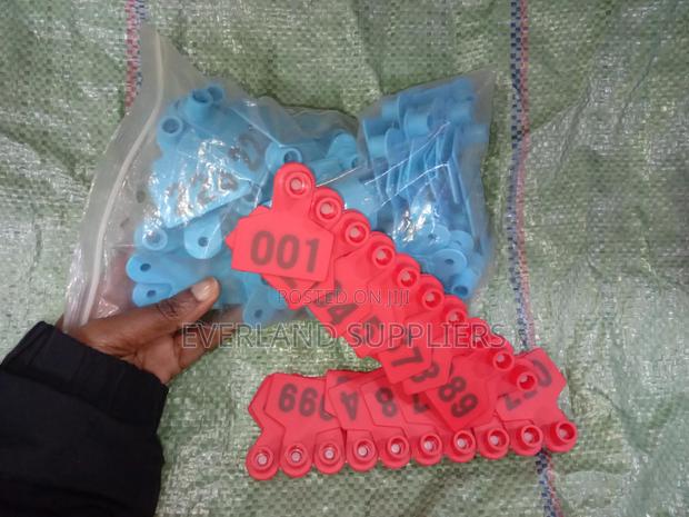Eartags - Easier Routine (Pack)