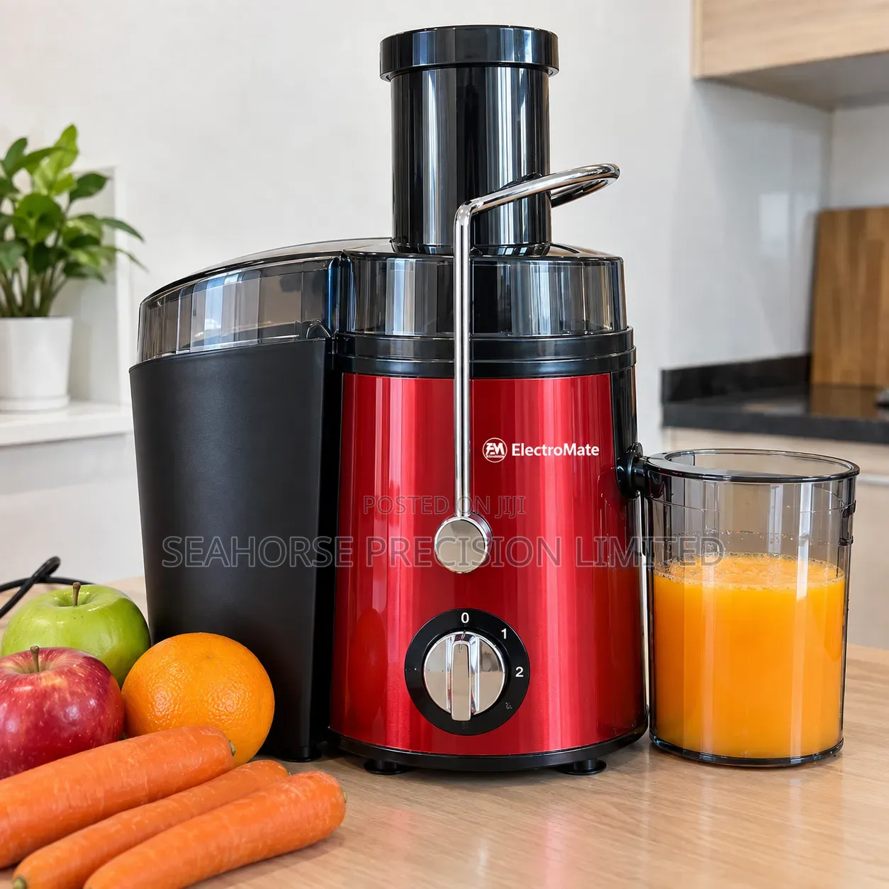  ElectroMate Electric Juicer