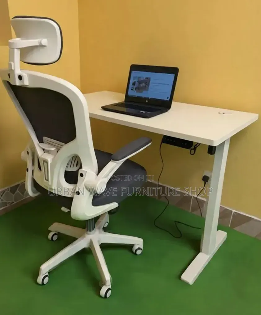 White Executive Chair + Electric Desk