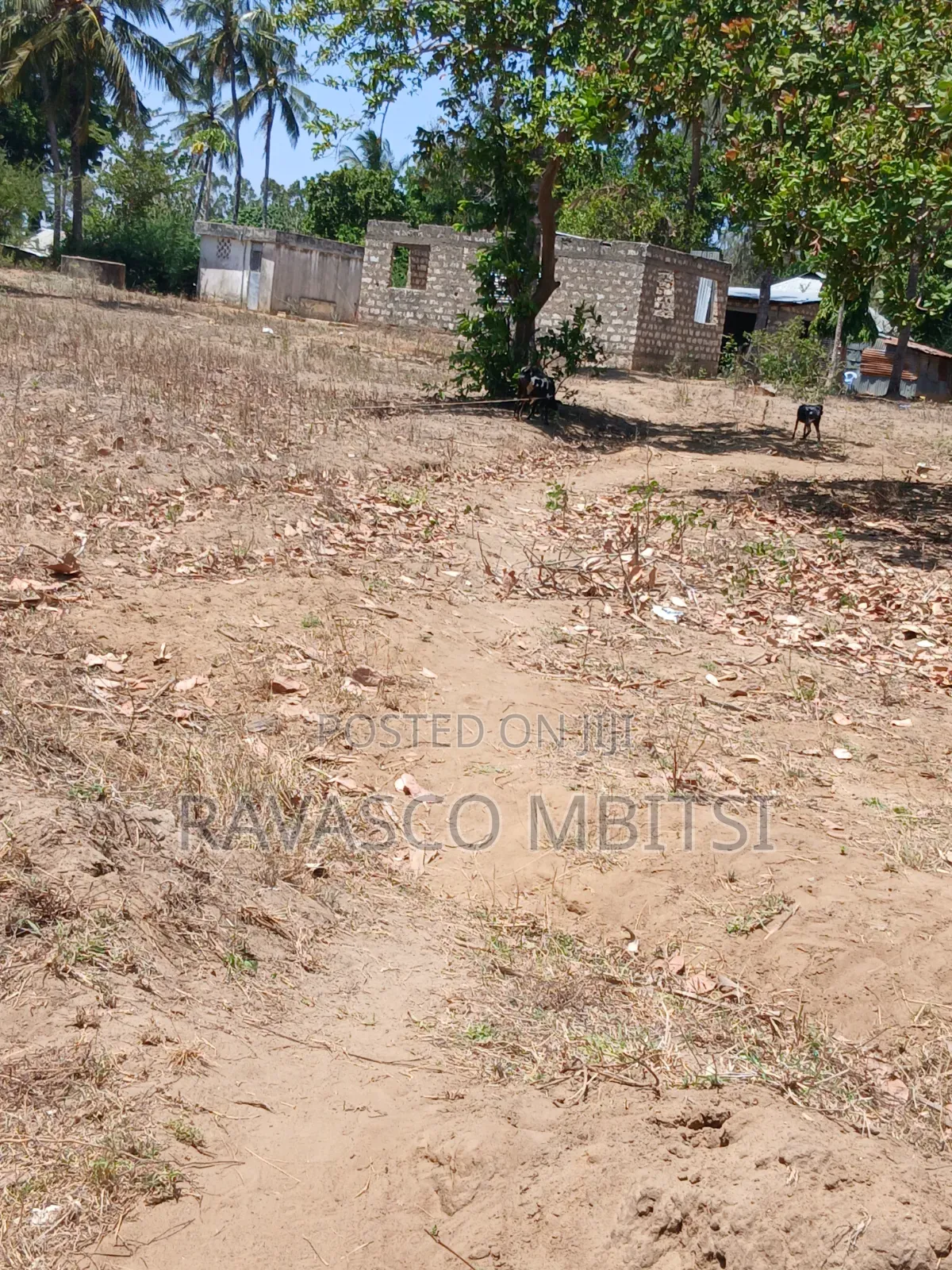 3 Acres Forsale in Kilifi Mavueni Near to Bahari Girls Secondary SCH