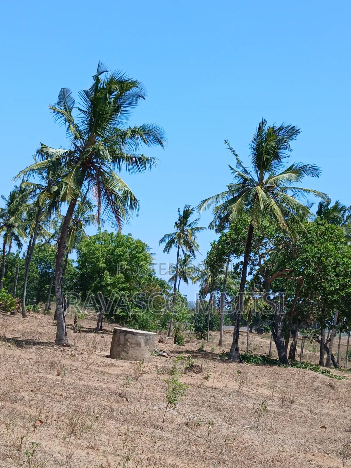 3 Acres Forsale in Kilifi Mavueni Near to Bahari Girls Secondary SCH