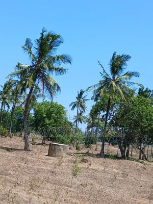 3 Acres Forsale in Kilifi Mavueni Near to Bahari Girls Secondary SCH