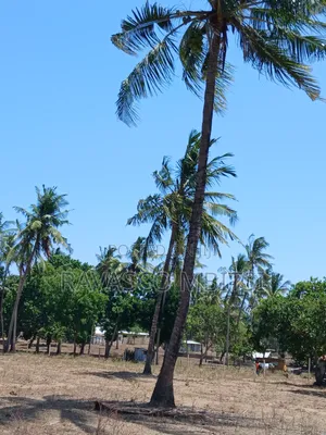 3 Acres Forsale in Kilifi Mavueni Near to Bahari Girls Secondary SCH